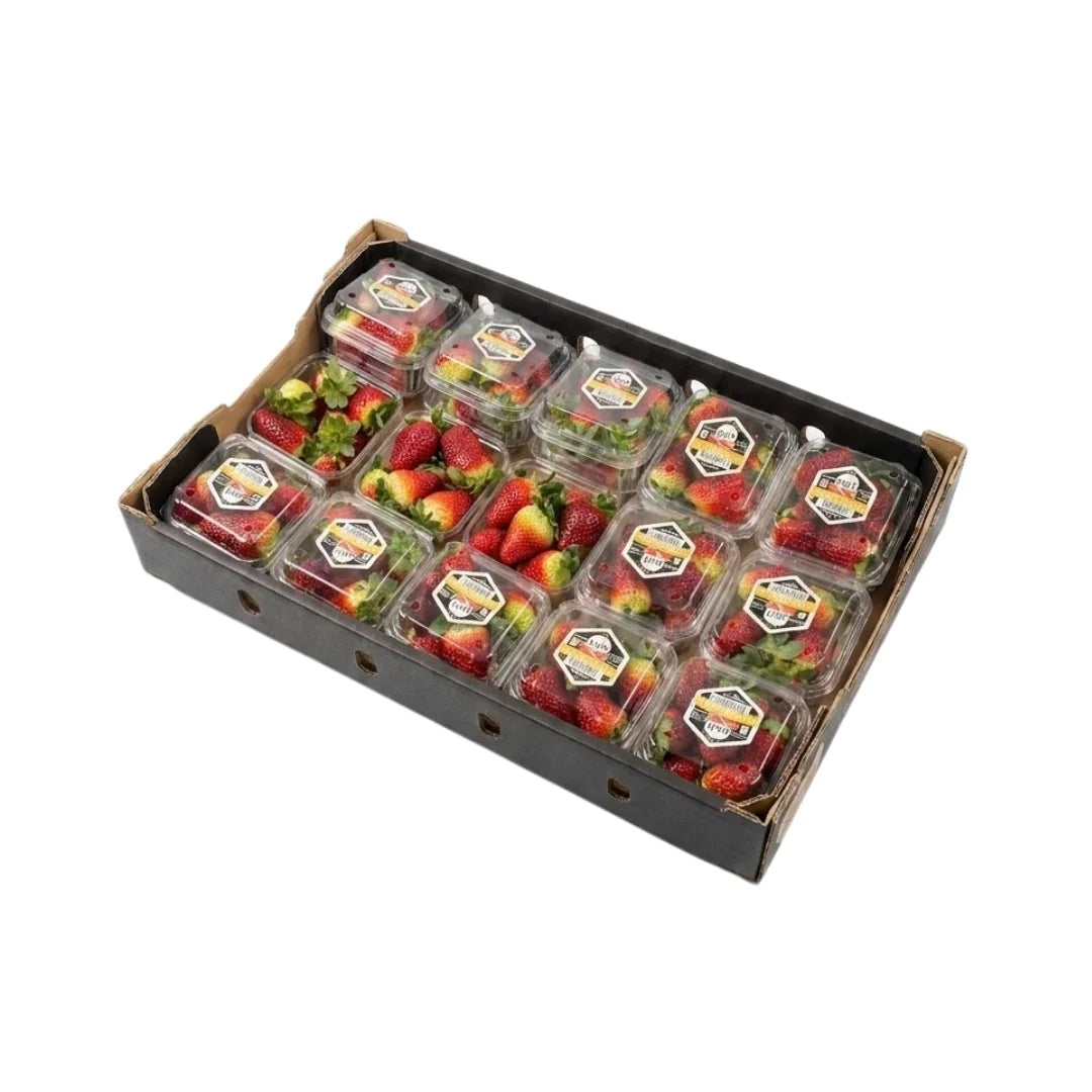 สตรอว์เบอร์รี ออสเตรเลีย 250 กรัม 15 แพ็ค /ถาด