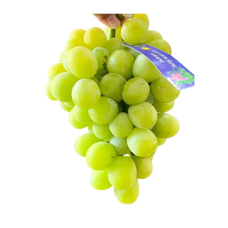 Autumn Crisp Green Grapes 6–7 kg/basket