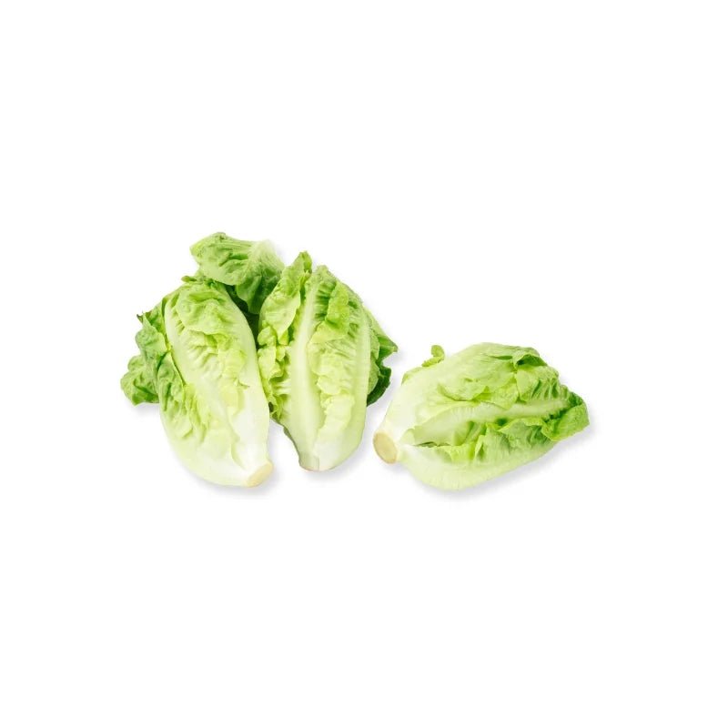 Baby Cos Lettuce 500g - Bangkok FreshLink