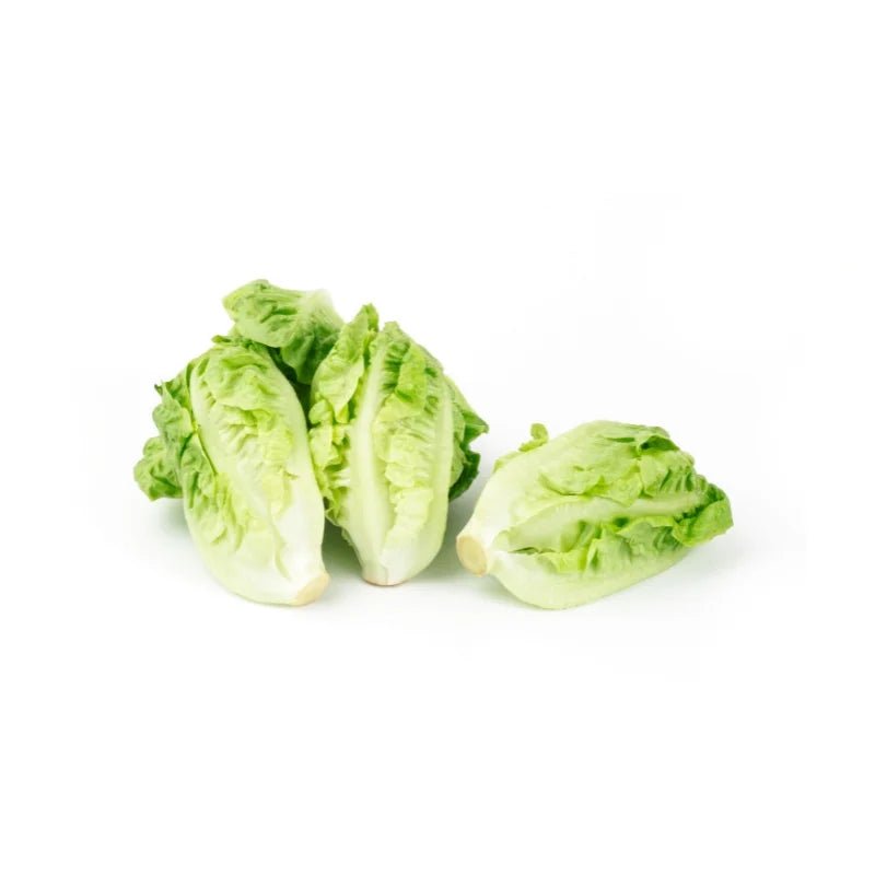 Baby Cos Lettuce Per kg - Bangkok FreshLink