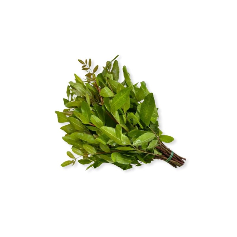 Bael Leaf Shoots 500g - Bangkok FreshLink