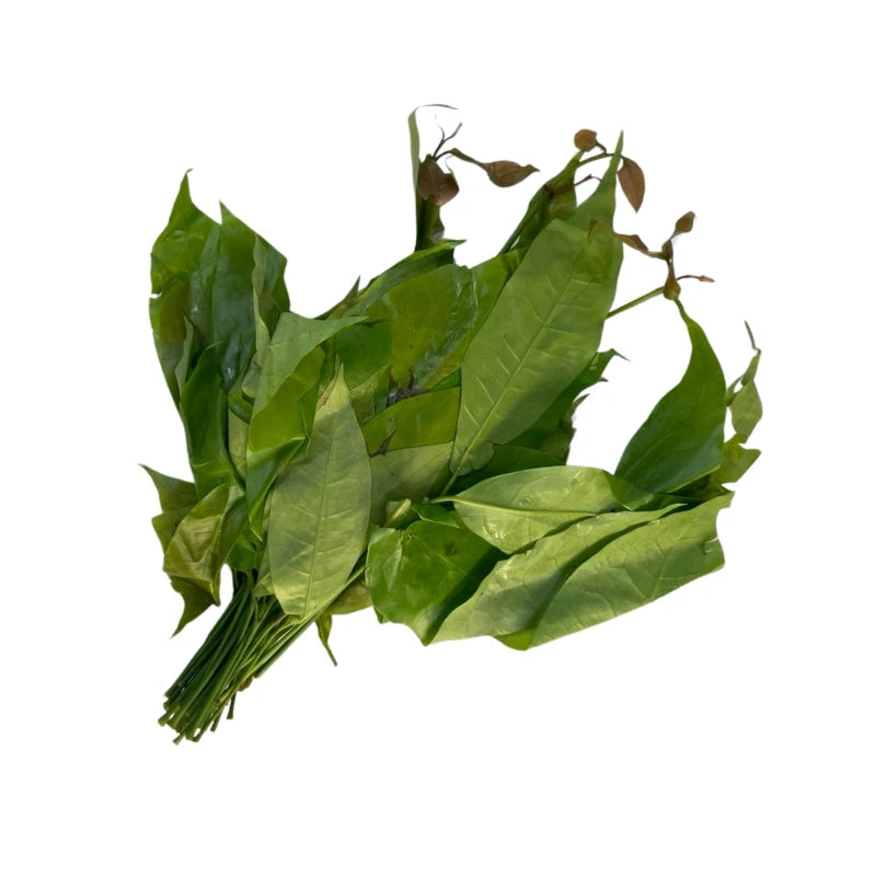 Bai Liang Leaves Per kg