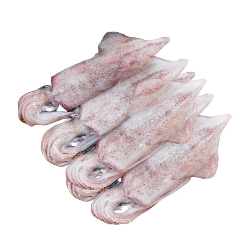 Bigfin Reef Squid 5–6 Pieces Per kg - Bangkok FreshLink
