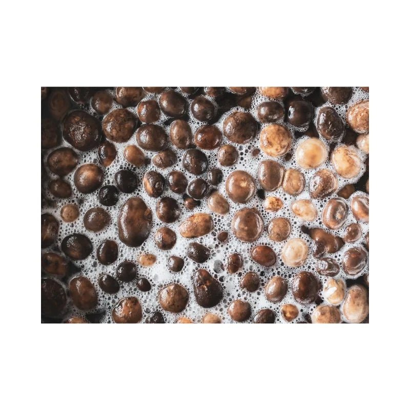 Boiled Puffball Mushrooms Per kg - Bangkok FreshLink