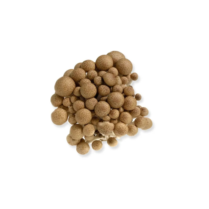 Buna Shimeji Mushroom 150g