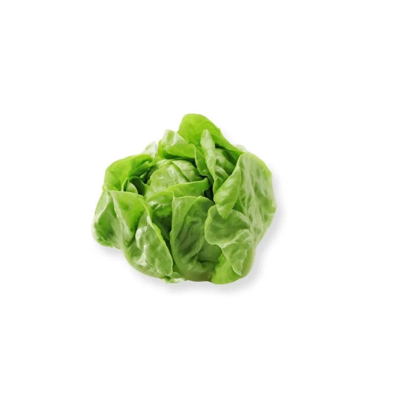Butterhead Lettuce 500g - Bangkok FreshLink