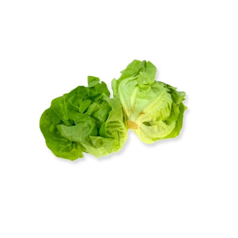 Butterhead Lettuce Per kg - Bangkok FreshLink