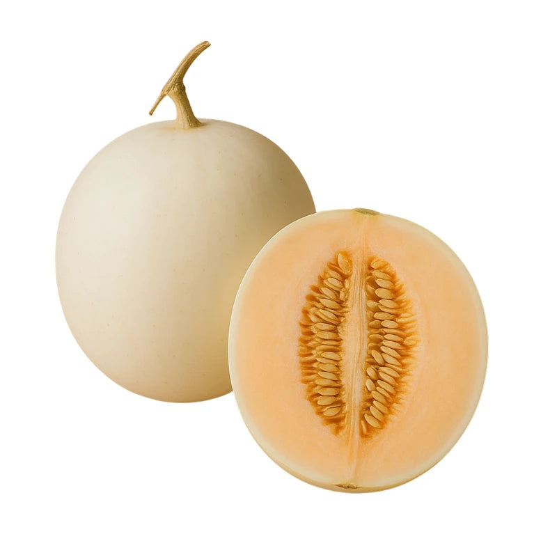 Sun Lady Cantaloupe 0.9–1kg Per Fruit