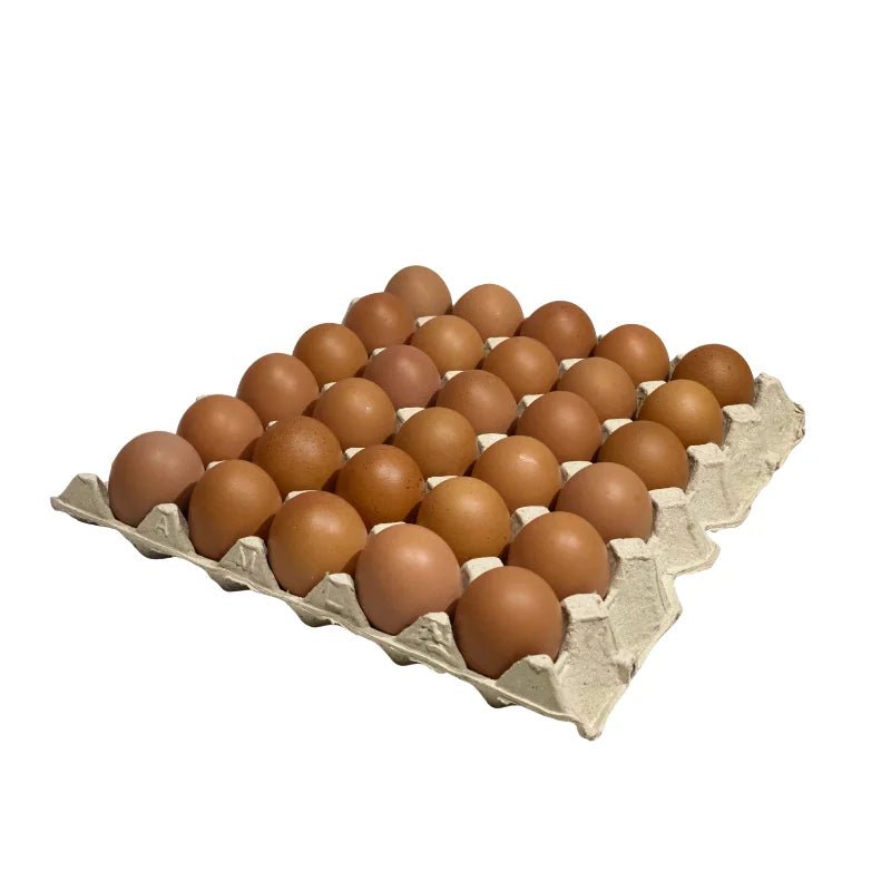 Chicken Eggs Size 1 30 Eggs Per Tray - Bangkok FreshLink