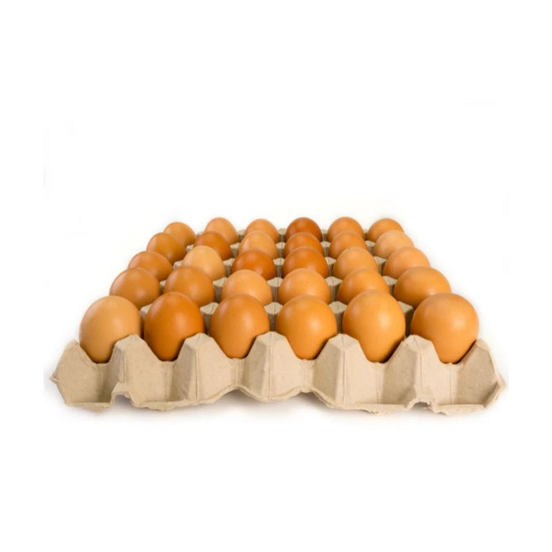 Chicken Eggs Size 2 30 Eggs Per Tray - Bangkok FreshLink