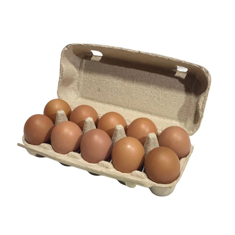 Chicken Eggs Size 3 (10 Eggs/Pack) - Bangkok FreshLink
