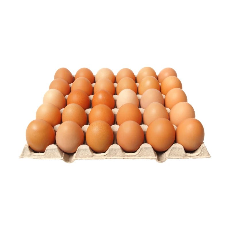 Chicken Eggs Size 3 30 Eggs Per Tray - Bangkok FreshLink