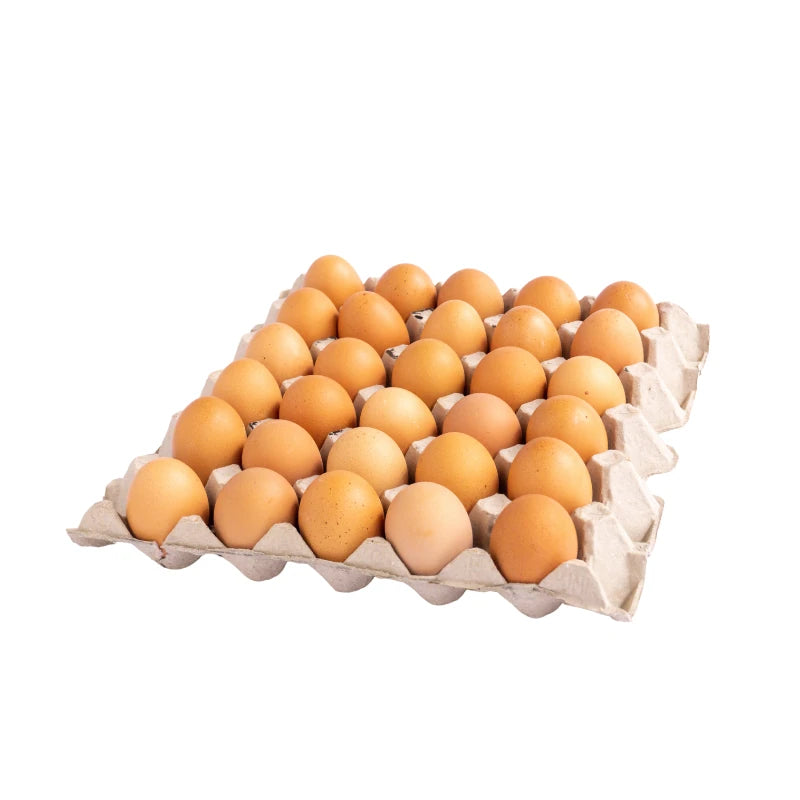 Chicken Eggs Size 4 30 Eggs per Tray