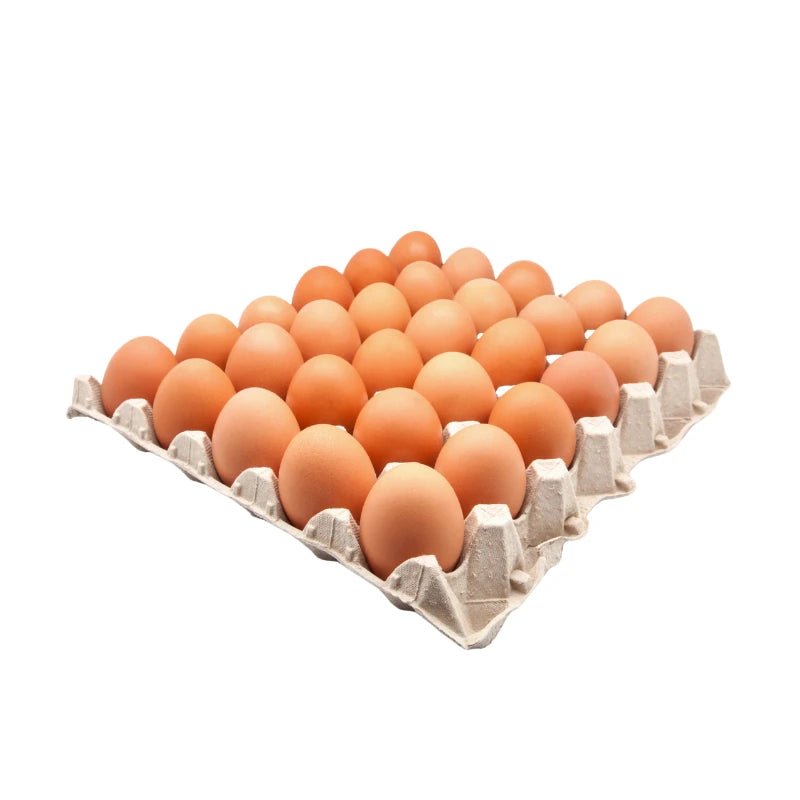 Chicken Eggs Size 1 30 Eggs Per Tray - Bangkok FreshLink