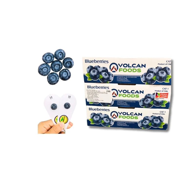 บลูเบอร์รี่ชิลี เบอร์14-16 12แพ็ค/ถาด