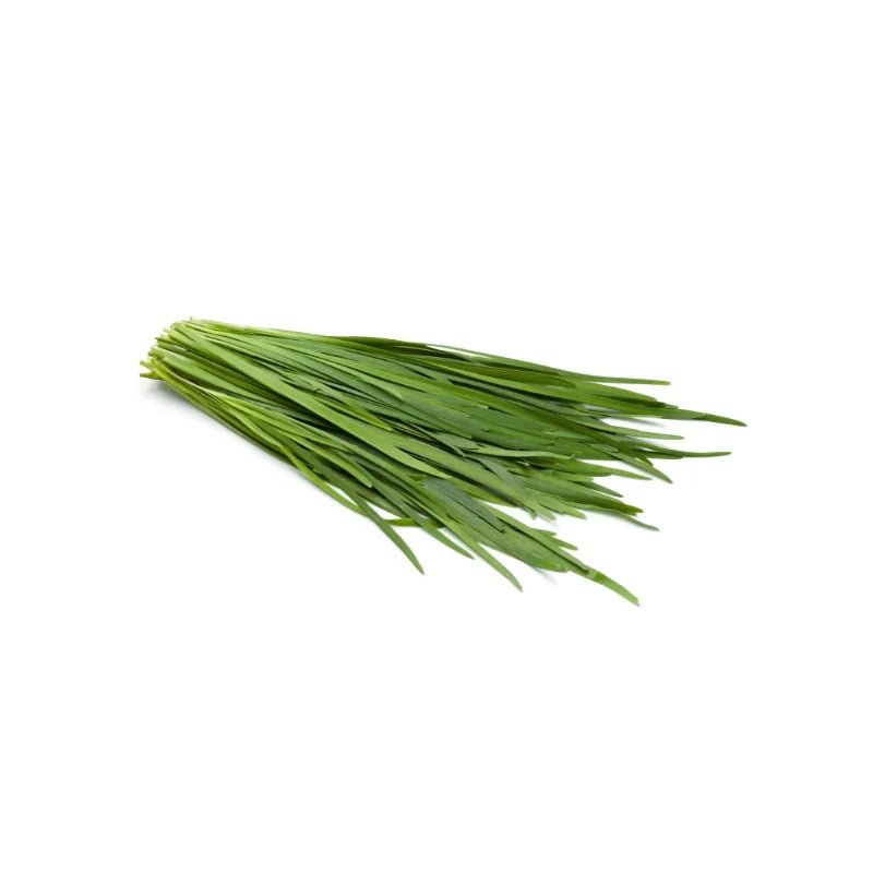 Chinese Chive Leaves 500g - Bangkok FreshLink