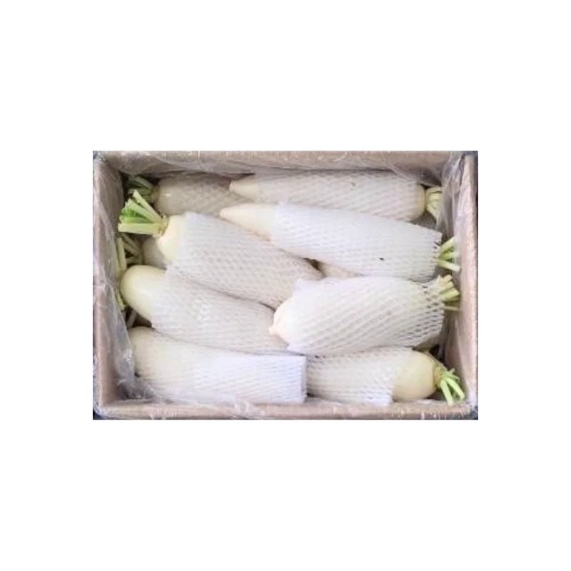 Chinese Radish 10kg - Bangkok FreshLink