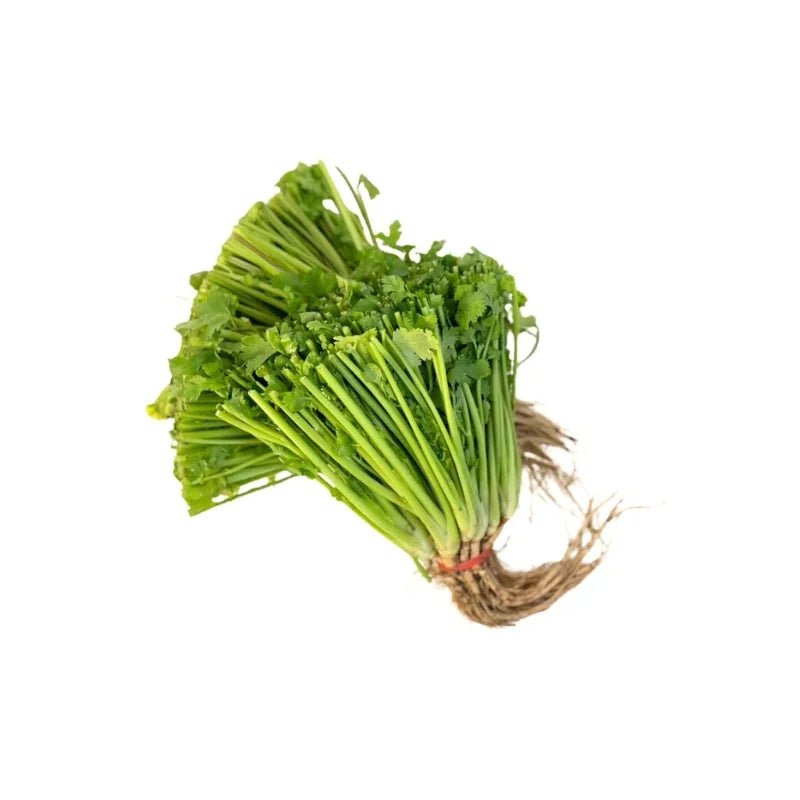 Coriander Root Per kg - Bangkok FreshLink