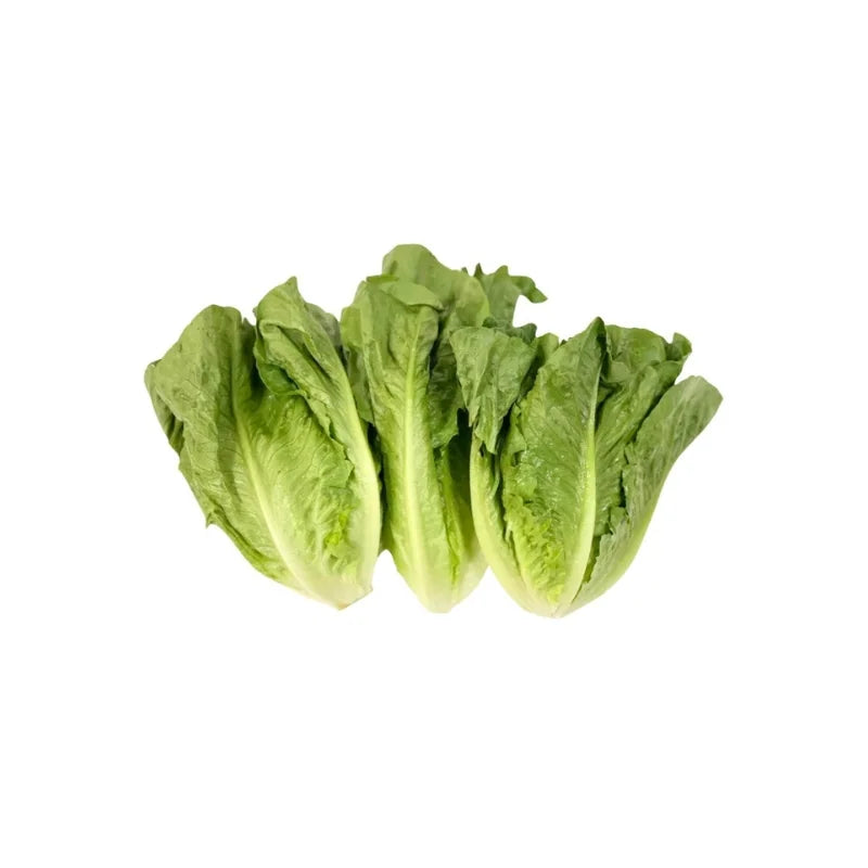 Cos Lettuce Per kg