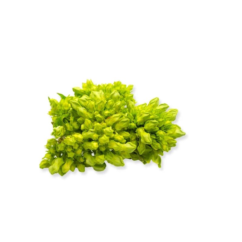 Cowslip Creeper 500g - Bangkok FreshLink