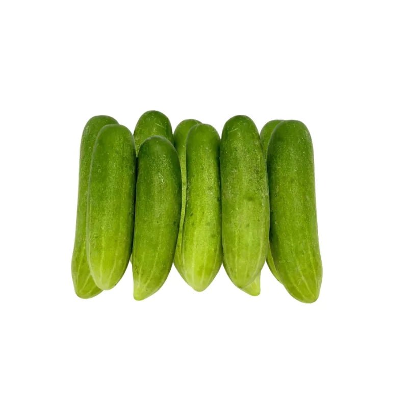 Cucumber Size M 500g - Bangkok FreshLink