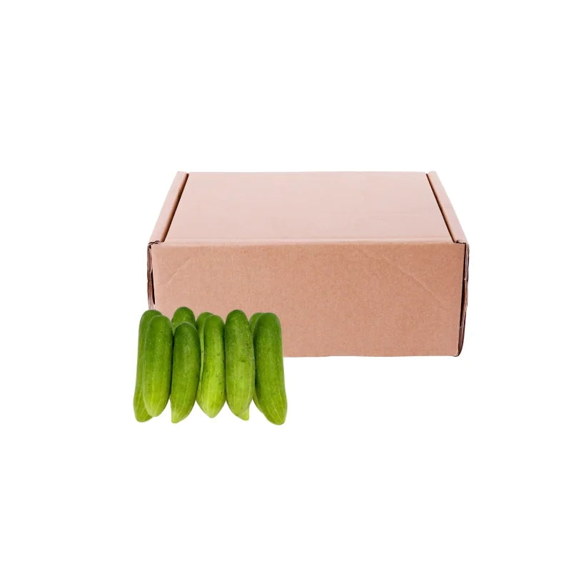 中号黄瓜 5公斤