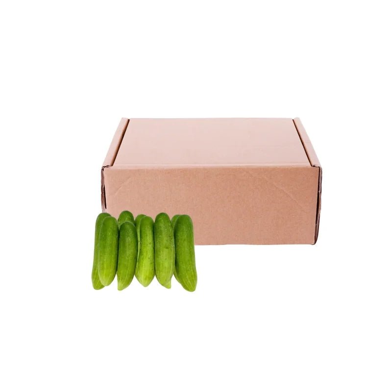 Cucumber Size M 5kg - Bangkok FreshLink