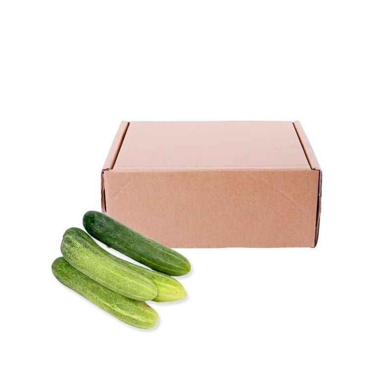 Cucumber (Dang Ran) 5kg - Bangkok FreshLink