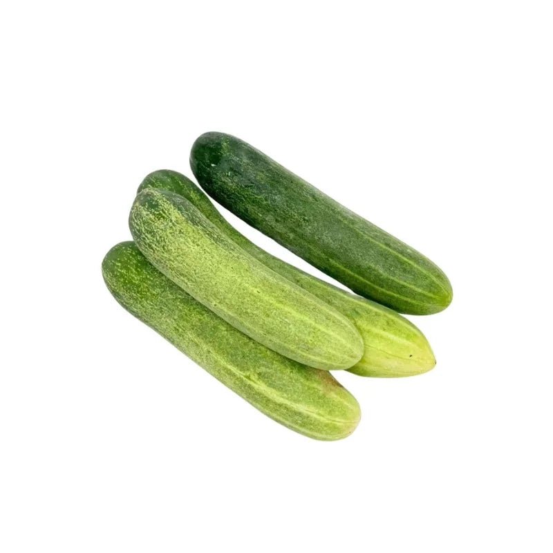 Cucumber (Dang Ran) Per kg - Bangkok FreshLink