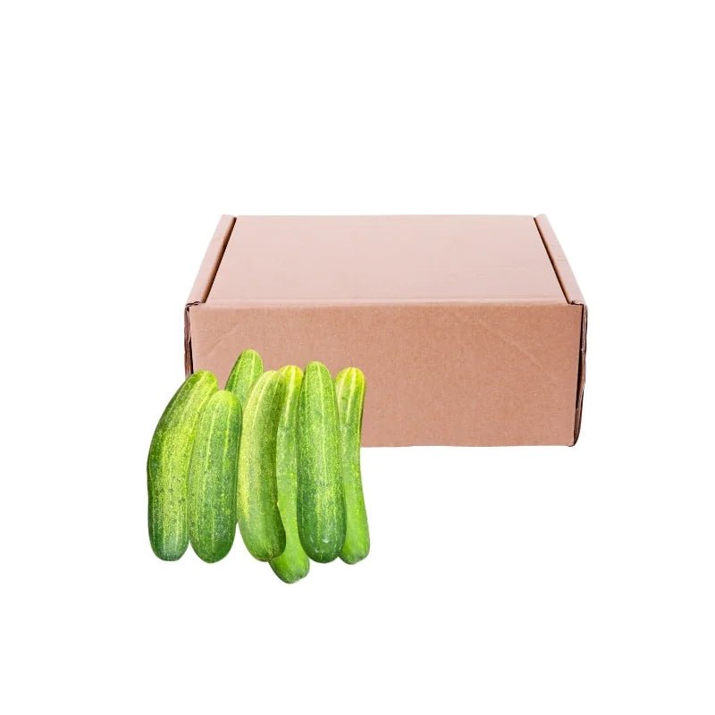 Cucumber (Premium) 5kg - Bangkok FreshLink