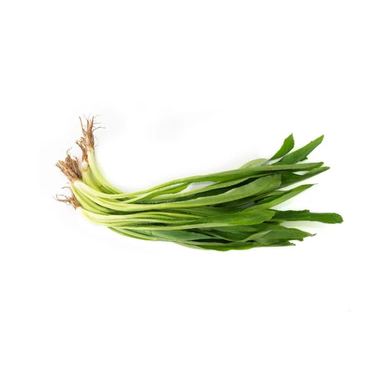 Culantro (Sawtooth Coriander) 100g - Bangkok FreshLink
