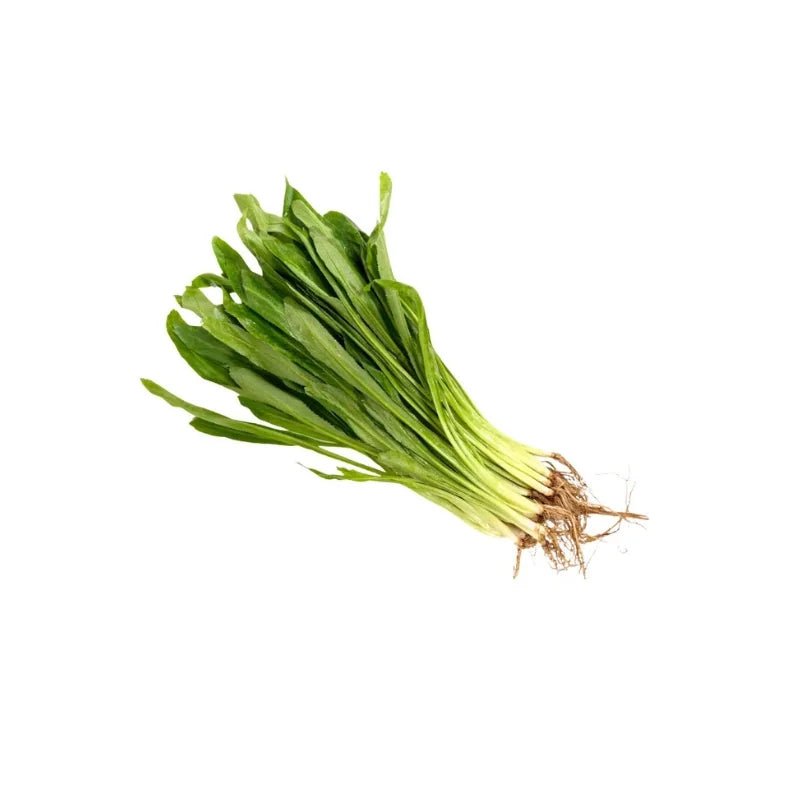 Culantro (Sawtooth Coriander) 500g - Bangkok FreshLink