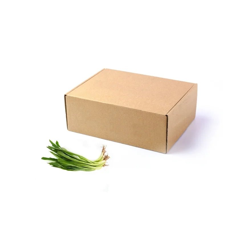 Fresh culantro sawtooth coriander leaves, aromatic herb greens, 5kg bulk pack isolated on white background