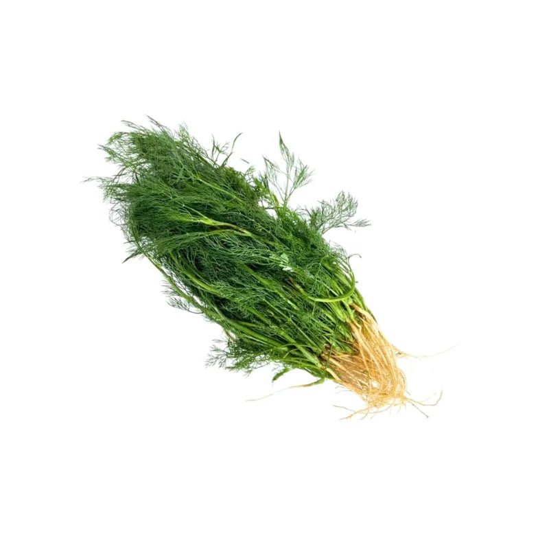 Dill 250g - Bangkok FreshLink