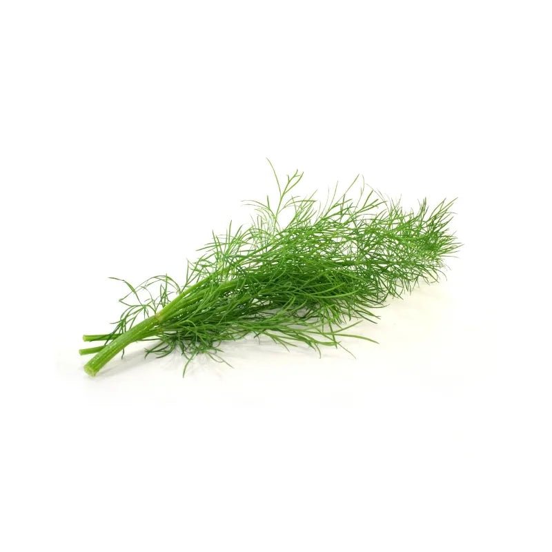 Dill 100g - Bangkok FreshLink