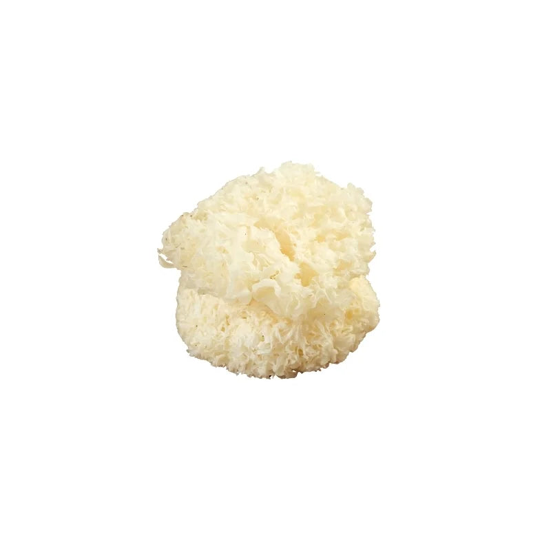 Dried White Jelly Mushroom 500g