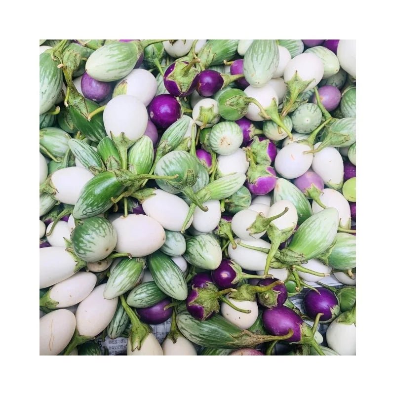 Eggplant (3 Color) 500g - Bangkok FreshLink