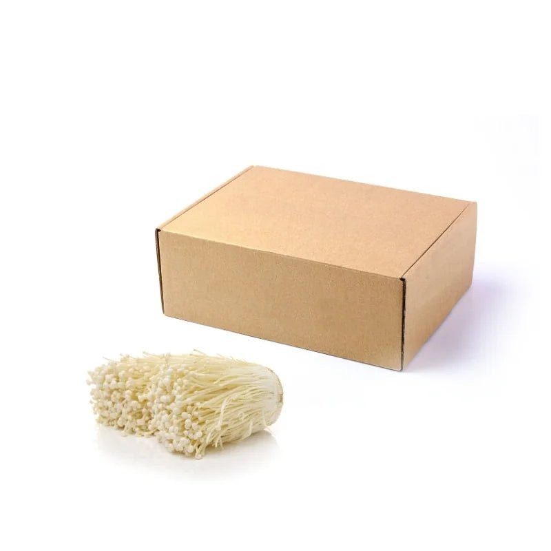 Enoki Mushroom 10kg - Bangkok FreshLink