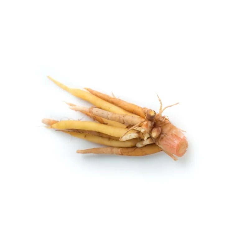 Fingerroot 100g - Bangkok FreshLink