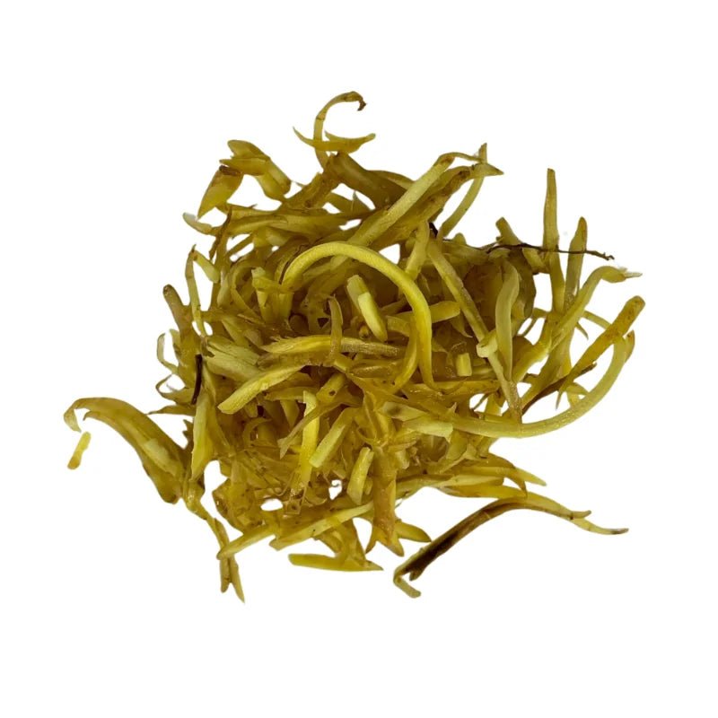 Fingerroot (Sliced) Per kg - Bangkok FreshLink