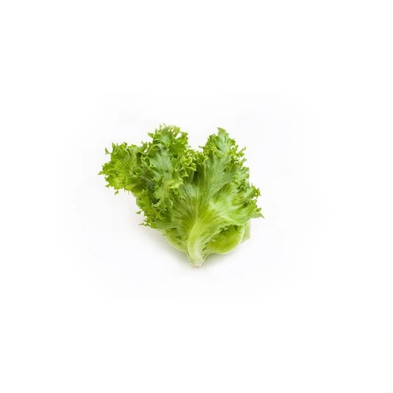Frillace Iceburg Lettuce 250g - Bangkok FreshLink