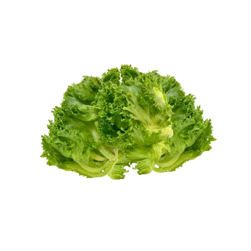 Frillice Iceberg Lettuce Per kg