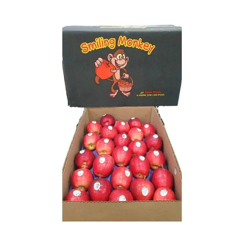 แอปเปิ้ลกาล่า อเมริกา ลังละ