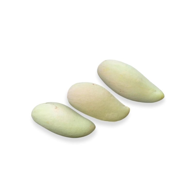 Golden Nam Dok Mai Mango (Unripe) Per kg - Bangkok FreshLink