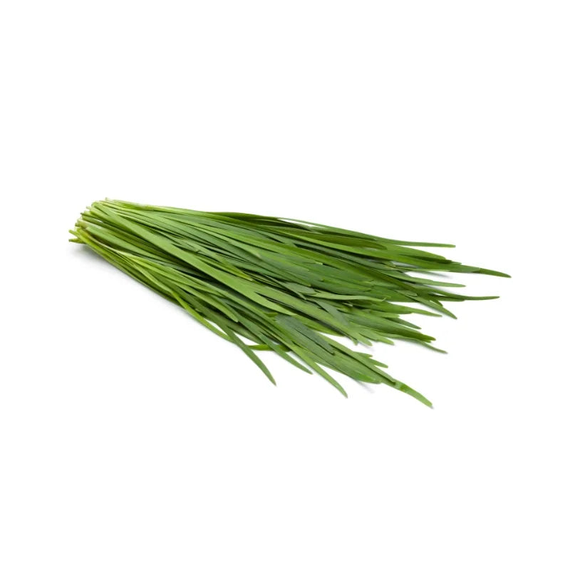 Green Chive Leaves 500g