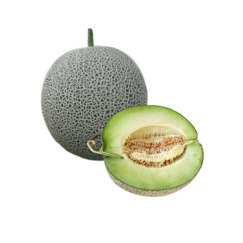 Green flesh melon on a white background
