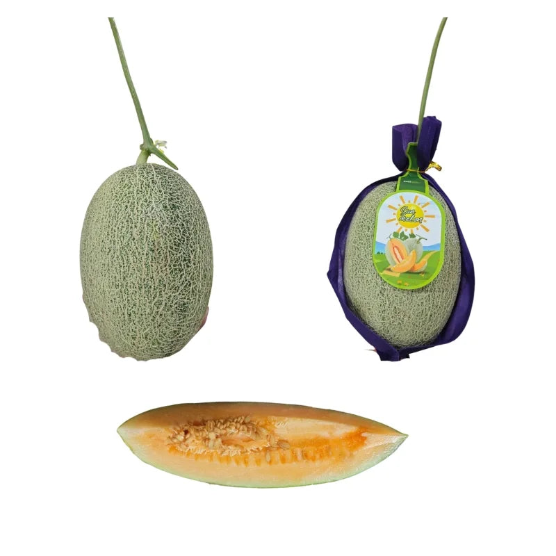 แตงธิเบตเขียว ลังละ