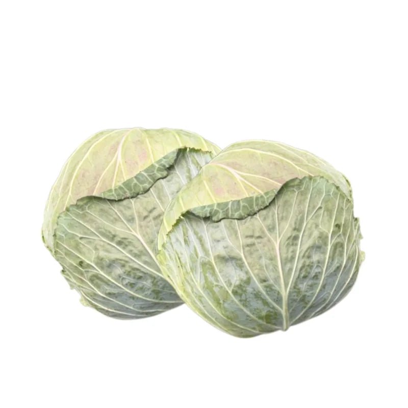 Green Cabbage (Light) 3kg - Bangkok FreshLink