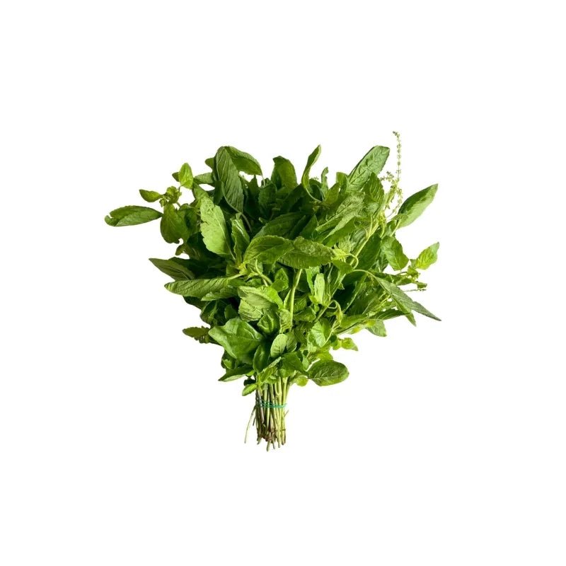 Fresh holy basil leaves, aromatic Thai basil sold per kg isolated on white background