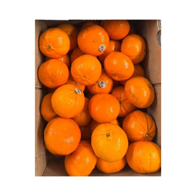 Honey Murcott Oranges Per Box - Bangkok FreshLink